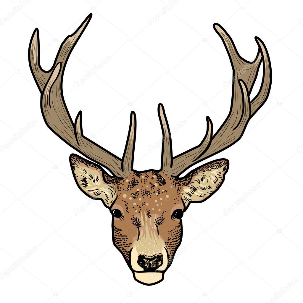 Cartoon deer head with antlers isolated