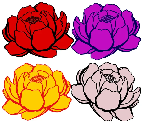 Set 4 cartoon lily open, different colors — Stockový vektor