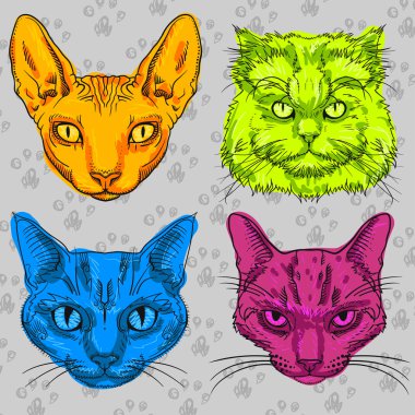 İzole dört çok renkli kedi