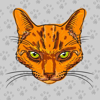 Download Orange Tabby Premium Vector Download For Commercial Use Format Eps Cdr Ai Svg Vector Illustration Graphic Art Design PSD Mockup Templates