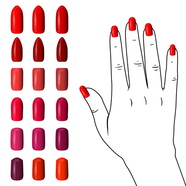 Set van gekleurde geschilderde nagels. manicure. nagellak. — Stockvector
