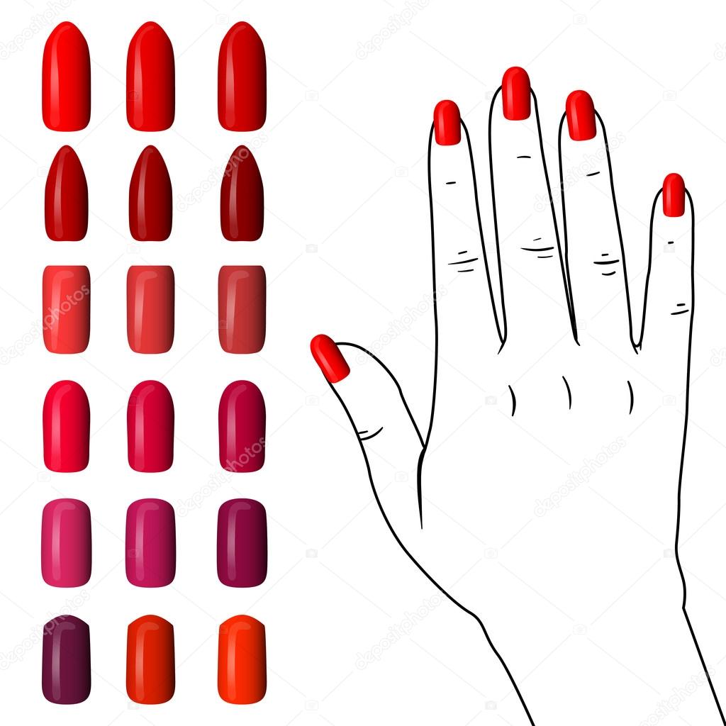 set of colored painted nails. manicure. nail polish.