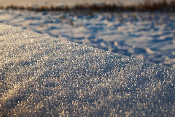 雪に心を奪われ — ストック写真