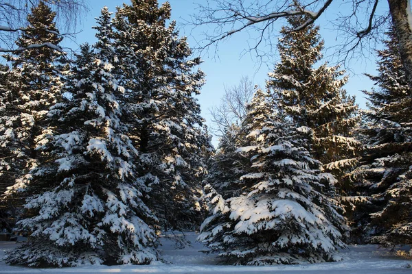 Karda çizilmiş kalpler