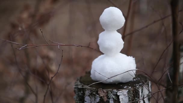 El viejo muñeco de nieve se derrite y cae. El muñeco de nieve se derrite rápidamente , — Vídeo de stock