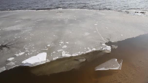 Fragmentos de gelo sob fina camada de água do rio congelada . — Vídeo de Stock