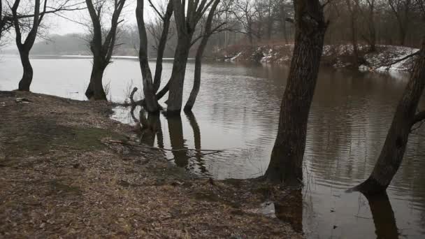 Fragmentos de hielo bajo una fina capa de agua congelada del río . — Vídeos de Stock