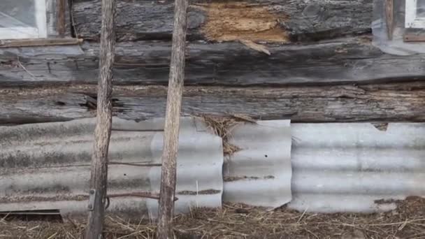 Trappa i ett gammalt övergivet hus på vinden i byn. — Stockvideo