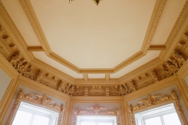 Gomel bölgesi, Zhlobin bölgesi, köy kırmızı banka, Beyaz Rusya - 16 Mart 2016: Gatovsky manor 19. yüzyıl Sarayı mimari bir anıt ve bir Gomel arazi konumlar.