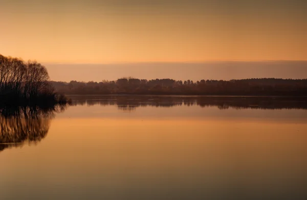 Schöne Landschaft mit alten Weiden bei Sonnenaufgang. Fluss — Stockfoto