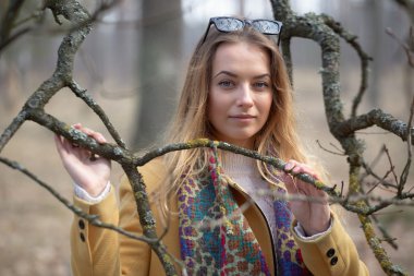 Ağaç, alan, çayır ve orman mavi gökyüzü