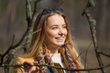 Ağaç, alan, çayır ve orman mavi gökyüzü