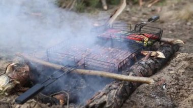 Çeşitli lezzetli ızgara et mangal üzerinde kömürlerin üzerinde sebze ile