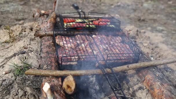 Diverse läckra grillat kött med grönsaker över glöden på en grill — Stockvideo