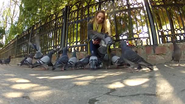 Красивая девушка кормит голубей в парке — стоковое видео