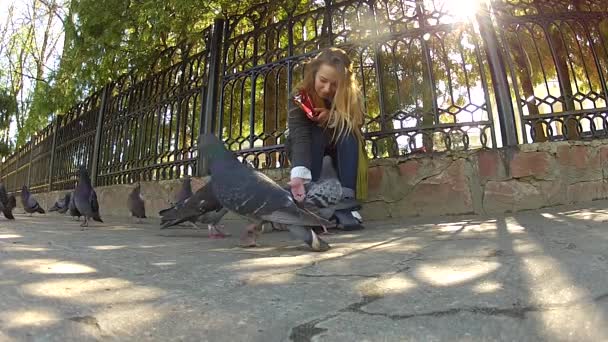 Vacker flicka matar duvor i parken — Stockvideo