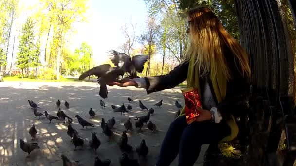 Beautiful girl feeding pigeons in the park — Stock Video