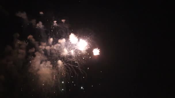 Fogos de artifício coloridos na noite de férias HD 1080p — Vídeo de Stock