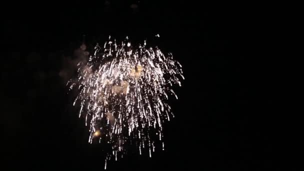 Coloridos fuegos artificiales en la noche de vacaciones HD 1080p — Vídeos de Stock