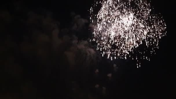 Színes tűzijáték a holiday este Hd 1080p — Stock videók