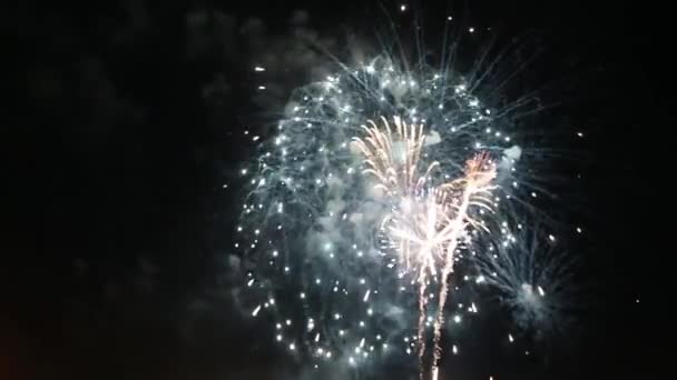 Fuochi d'artificio colorati durante la notte di vacanza HD 1080p — Video Stock