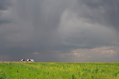 Fırtına bulutları ve Park orman ile. Büyük yağmur bulutu yaklaşıyor. Dramatik gökyüzü