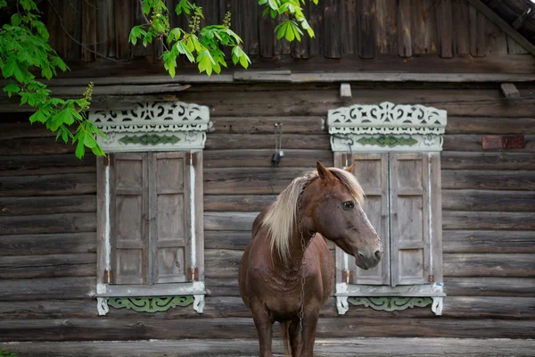 Paraszt bay horse legelt, közelében egy régi napló rusztikus parasztház — Stock Fotó