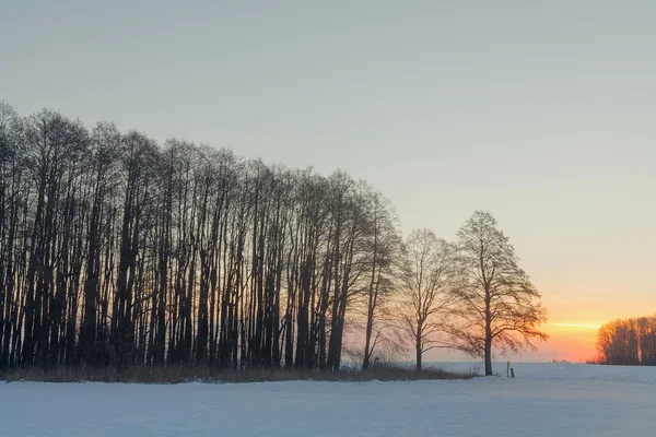 Fantastic evening landscape in a colorful sunlight. Dramatic wintry scene. — Stock Photo, Image