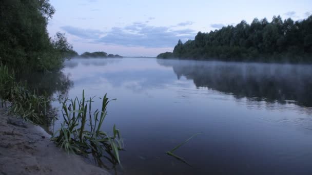 Morgon soluppgången reflektion i dimmiga dimma stiga från flödande floden vatten. — Stockvideo