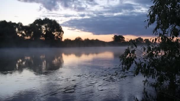 Morgon soluppgången reflektion i dimmiga dimma stiga från flödande floden vatten. — Stockvideo