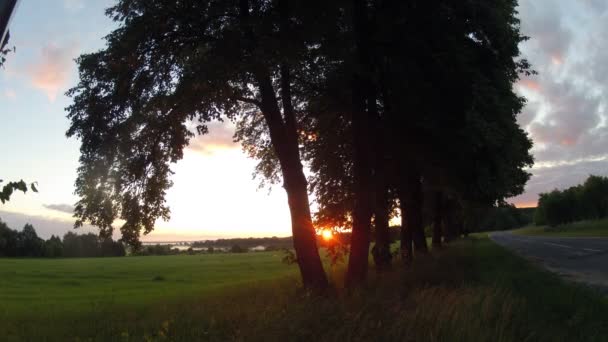 Rano wschód odbicie w mglisty mgła wzrost od rzeki płynącej wody. — Wideo stockowe