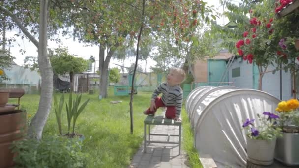 Niño sentado en el árbol y recoger cerezas . — Vídeos de Stock