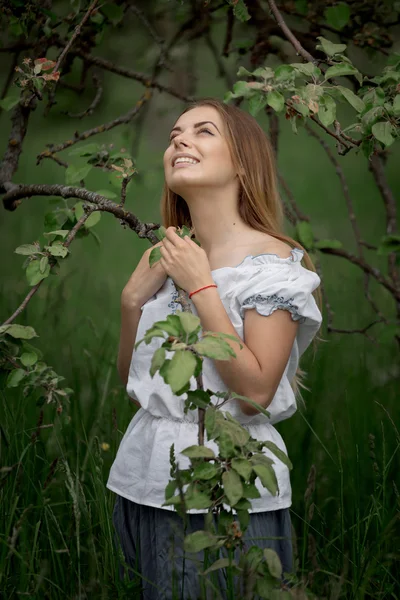 リンゴの木からリンゴをイジメる梯子の上の若い女 — ストック写真