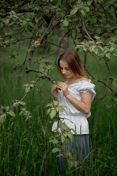 Mladá žena se na sběr jablek z jabloně žebříku — Stock fotografie