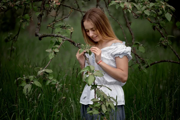 Bir elma ağacı elma toplama üzerine bir merdiven üzerinde genç kadın