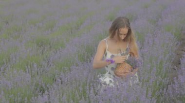 Çiçek açması lavanta tarlanın ortasında oturan mutlu ve rahat kız