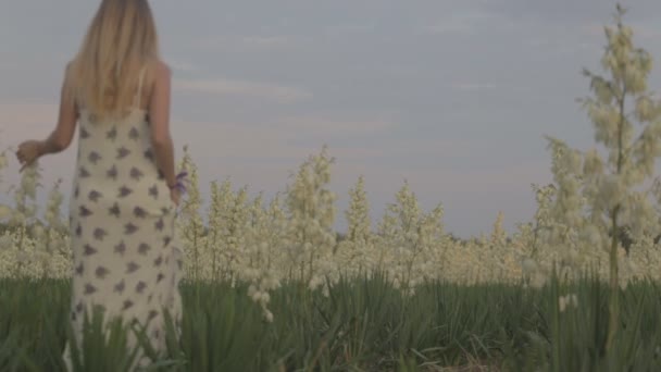 Menina em um campo sorrindo emoções mãos dançando ouvidos ri corre ouvindo música menina retrato sol — Vídeo de Stock