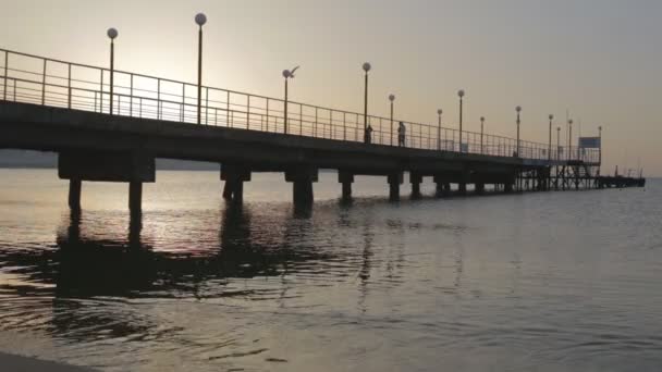 清晨在码头大海的风景 — 图库视频影像