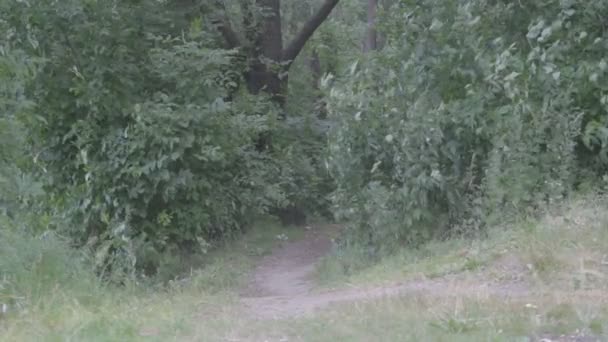 jeune belle fille dans la robe traditionnelle biélorusse avec une couronne 