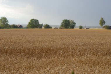 Mavi gökyüzü arka planında güzel yeşil tepenin panoramik görüntüsü
