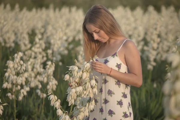 Принцеса. Молода красива красива жінка позує в довгій вечірній розкішній сукні проти кущів з білими квітами — стокове фото