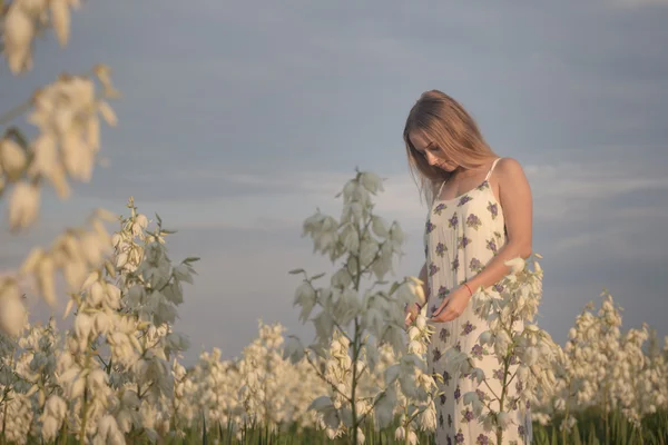 Principessa. Giovane bella bella donna in posa in abito da sera di lusso lungo contro cespugli con fiori bianchi — Foto Stock