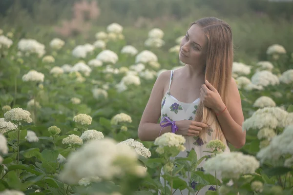 白い花と緑のフィールド上を歩いて夕方太陽の暖かい光で若い美しい女性. — ストック写真