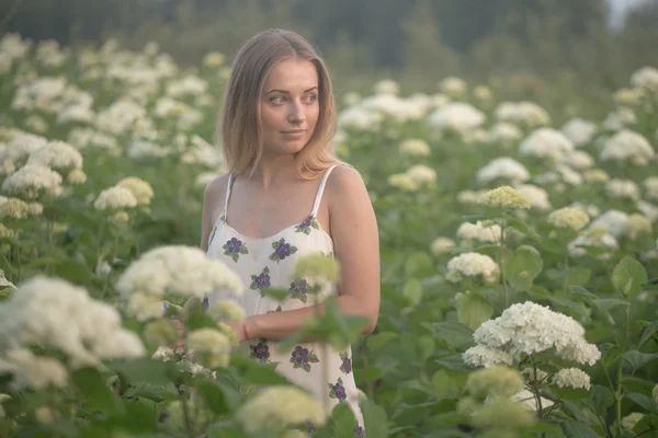 Young beautiful woman in the warm rays of the evening sun walking on a green field with white flowers. — Stock Photo, Image