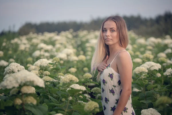 Junge schöne Frau in den warmen Strahlen der Abendsonne, die auf einer grünen Wiese mit weißen Blumen spaziert. — Stockfoto