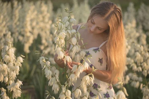 Princesa. Joven hermosa mujer bonita posando en vestido largo en contra en el campo con flores blancas — Foto de Stock