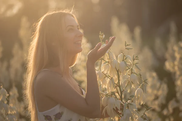 Princesa. Jovem bela mulher bonita posando em vestido longo contra no campo com flores brancas — Fotografia de Stock