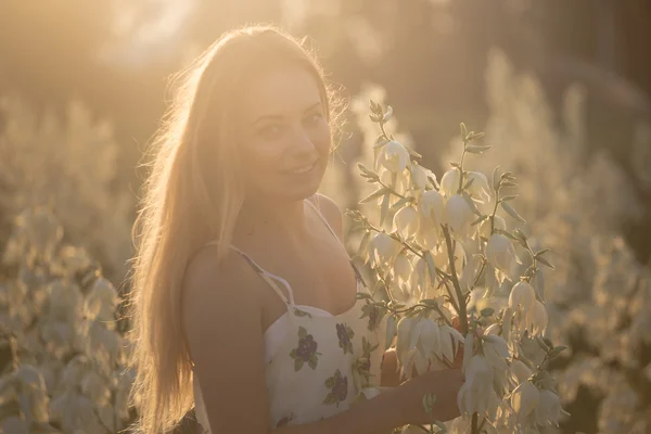 Πριγκίπισσα. Όμορφη όμορφη κοπέλα που θέτουν σε μακρύ φόρεμα ενάντια στο πεδίο με τα άσπρα λουλούδια — Φωτογραφία Αρχείου