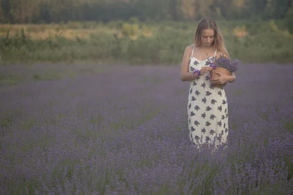 Leende flicka sniffning blommor i ett lavendel fält — Stockfoto