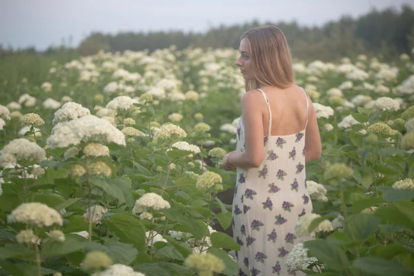 Junge schöne Frau in den warmen Strahlen der Abendsonne, die auf einer grünen Wiese mit weißen Blumen spaziert. — Stockfoto